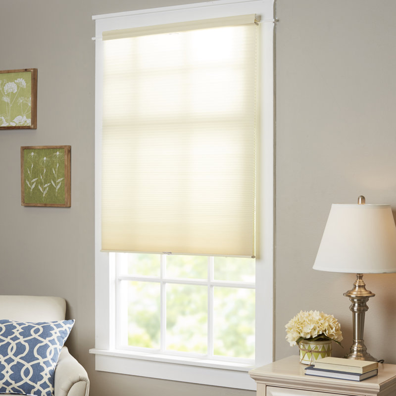 TopDown BottomUp Cordless Cellular Shade AllModern